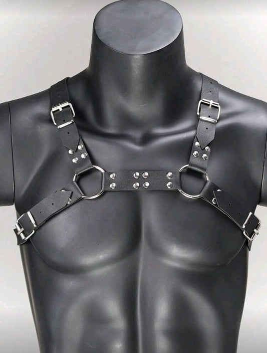 Urban Edge Harness