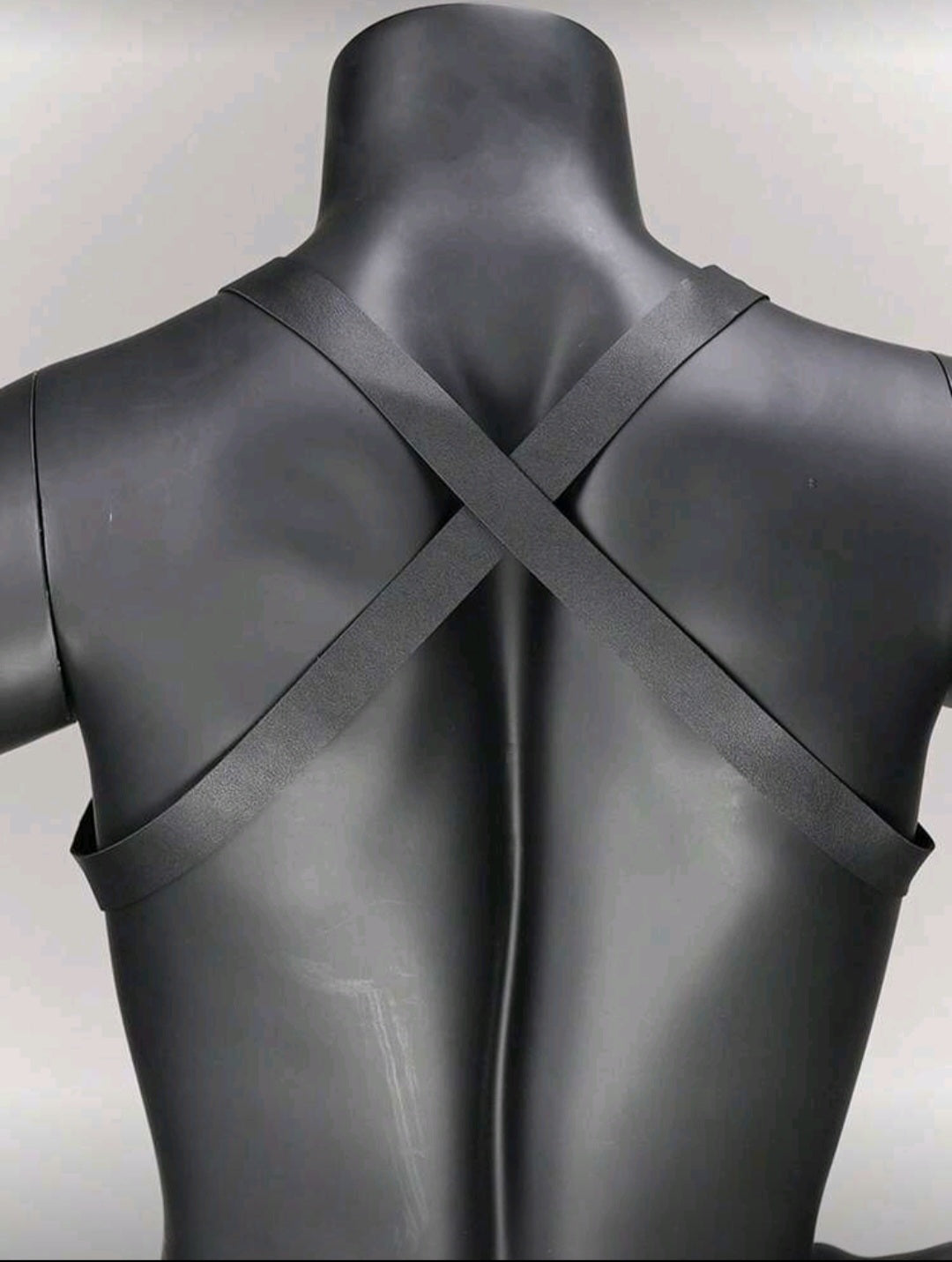 Urban Edge Harness